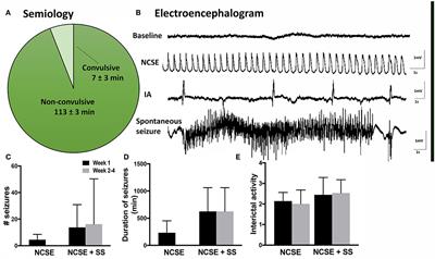 Immune Profile in Blood Following Non-convulsive Epileptic Seizures in Rats